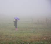 Foggy morning&pink wellingtons ...