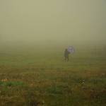 Foggy morning & rainbow umbrella ...