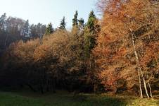 Ojcowski Park Narodowy