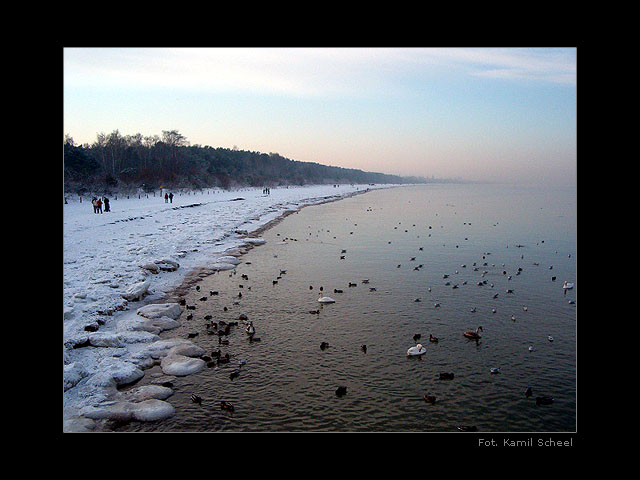 Wybrzeże zimą