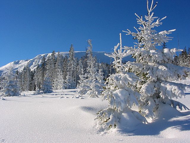 w drodze na śnieżkę