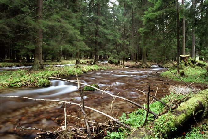 Kuźnice w Zakopanym