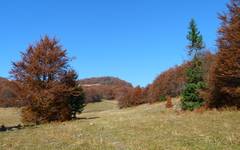 Wielka Fatra 2010.10.13  1