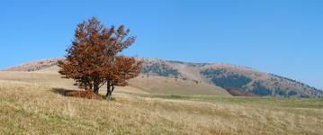 Wielka Fatra 2010.10.13  2