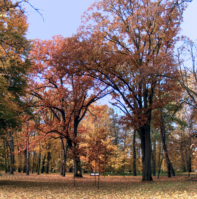 Park Kozłówka