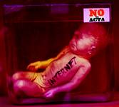 NO TO ACTA !!!