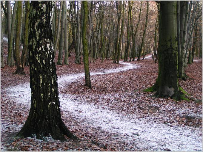 Ścieżynka....