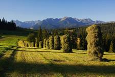 Tatry