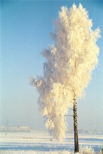 Podlasie 2002