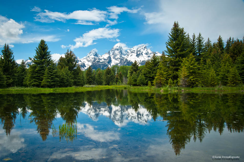 Grand Teton