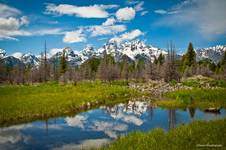 GRAND TETON