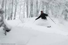 POWDER DAYZ