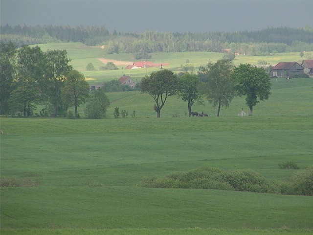 gdzieś koło Ełku