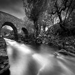 The Bridge On The Way To The Land Of The Dark Elves