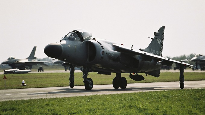 harrier, po prostu harrier