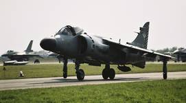 harrier, po prostu harrier