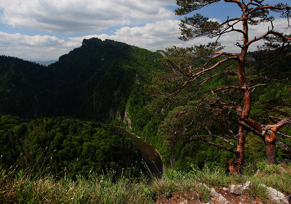 Pieniny