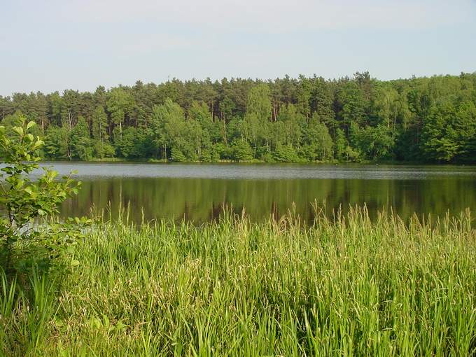 Zielony Śląsk  cz. II