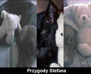 Przygody Stefana :)