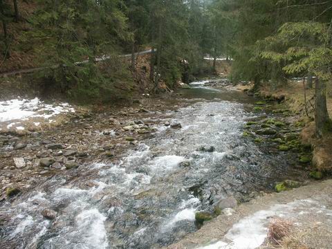 Zakopane zimą