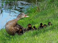 to moje...
