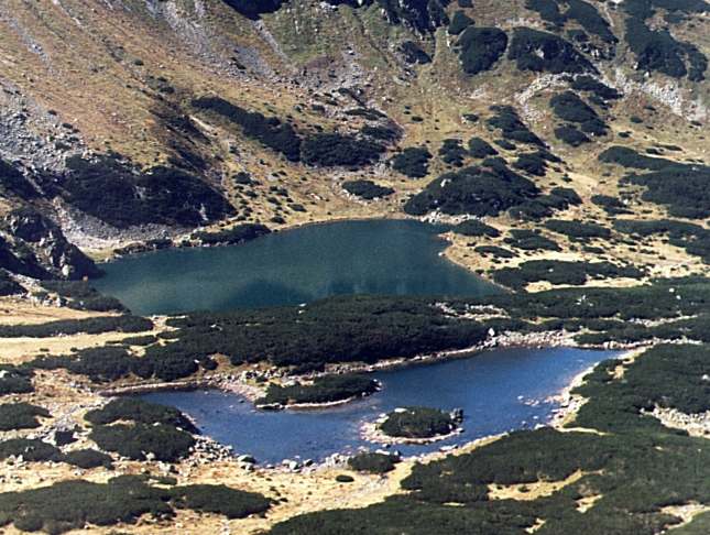 Dwojański Staw, Tatry