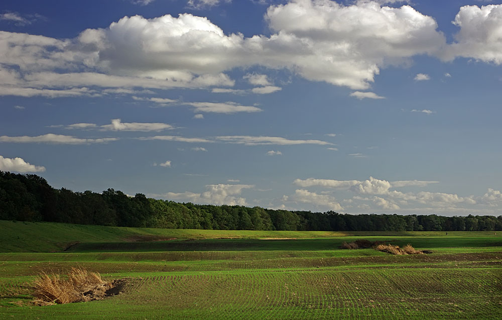 Biała Góra