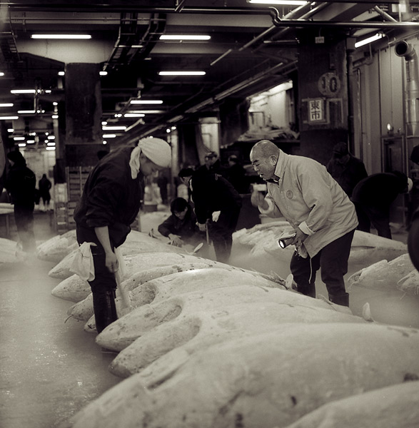 Tsukiji fish Market