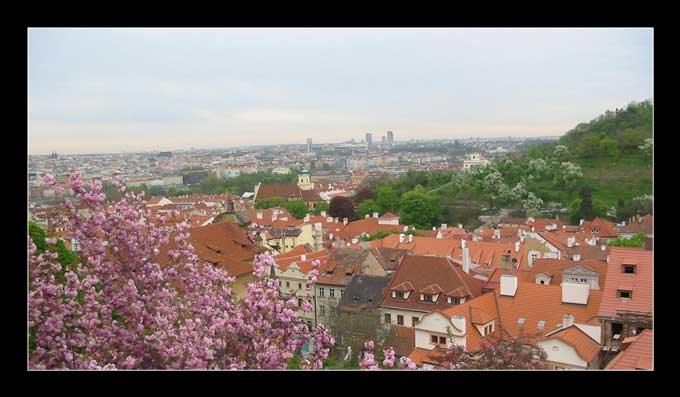 Praga