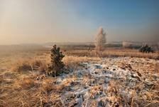 Pierwszy śnieg