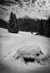 Tatry - Dolina Chochołowska