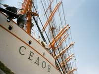 Sedov