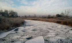 Narew Podlaskie