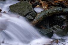 Bieszczady: potok na zboczu masywu Rawek