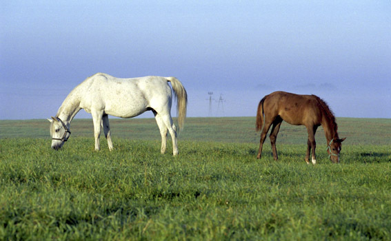 Dwa światy.