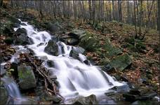 Bieszczady: znów potok pod Małą Rawką