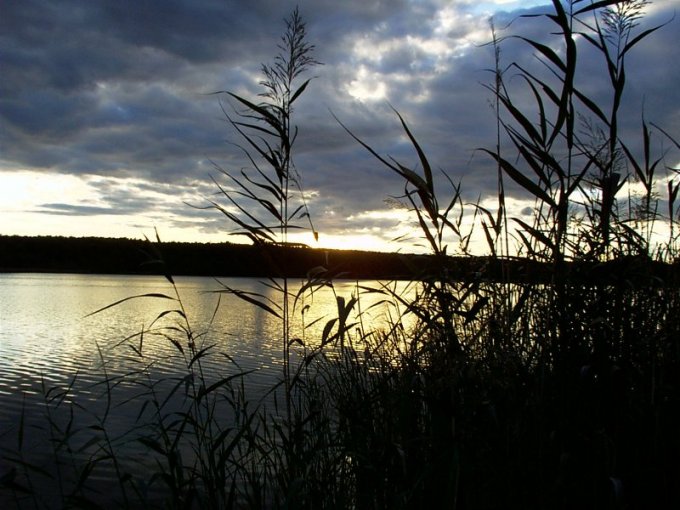 Cisza przed burzą