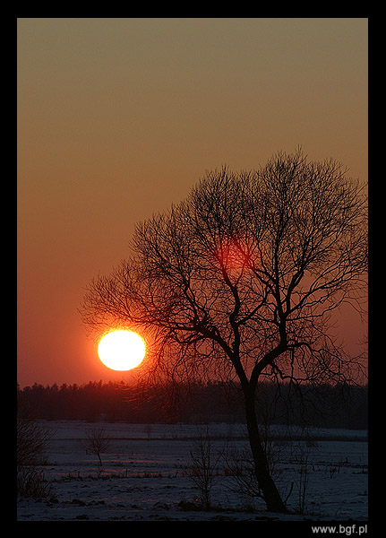 gdzies na podlasiu