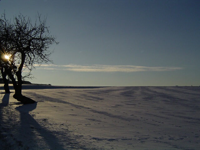  Śnieżne pole