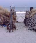 Nantasket Beach