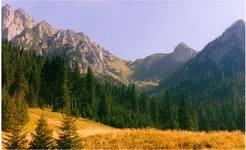 TATRY