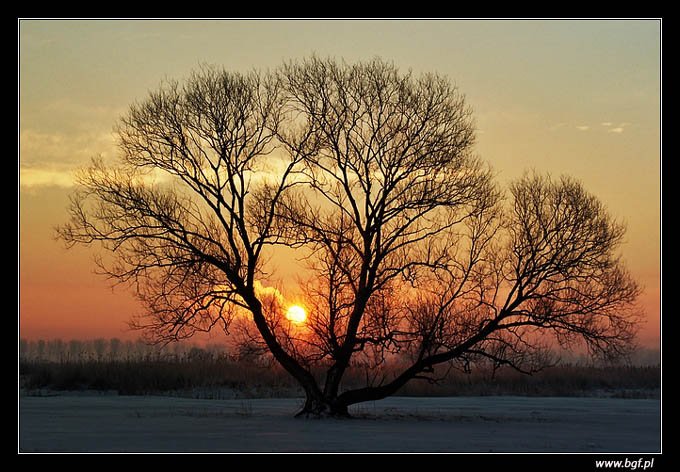 Gdzieś na Podlasiu