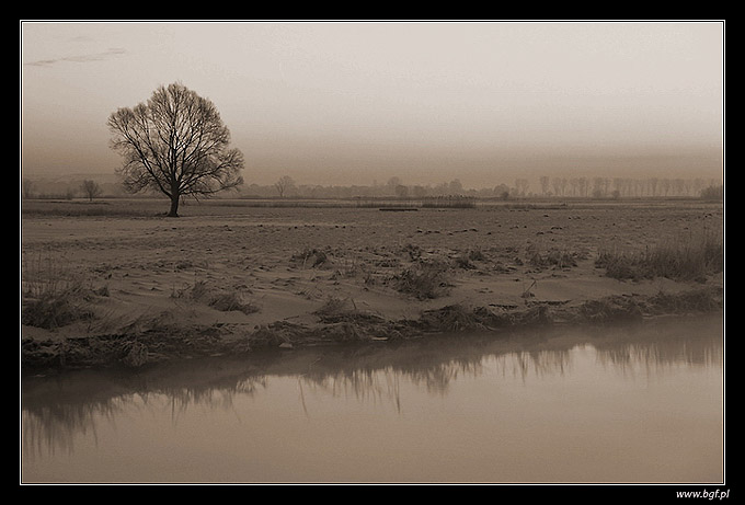 Podlasie