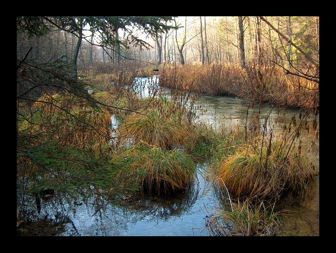 jesień nad rzeczką