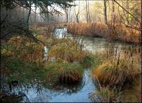 jesień nad rzeczką