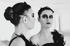 black swan