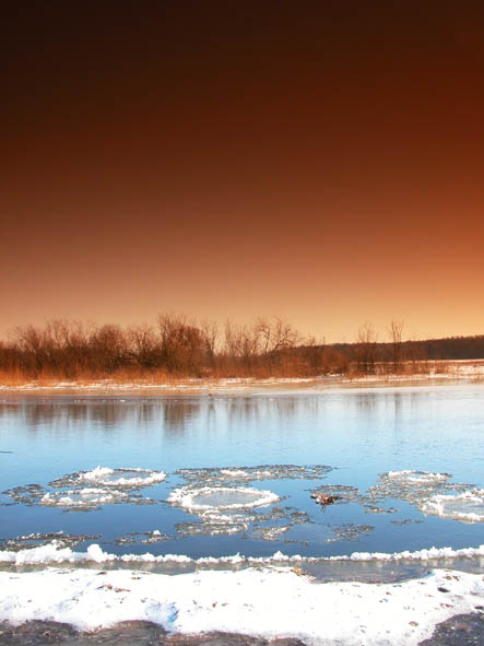 narew