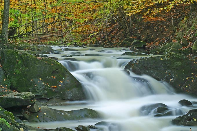 Bieszczady, okolice Dwernika