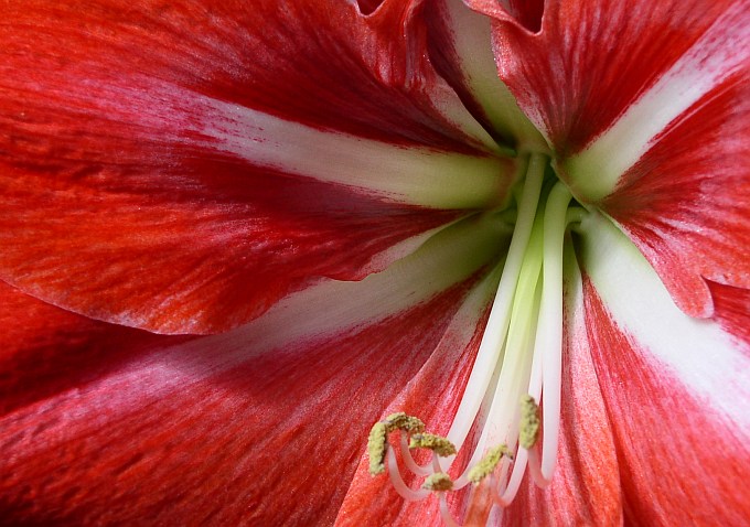 ...lady in red...