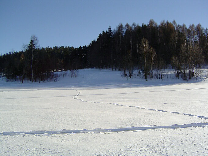 korbielowo 2004